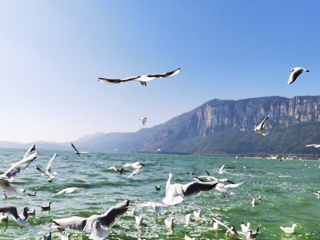 昆明